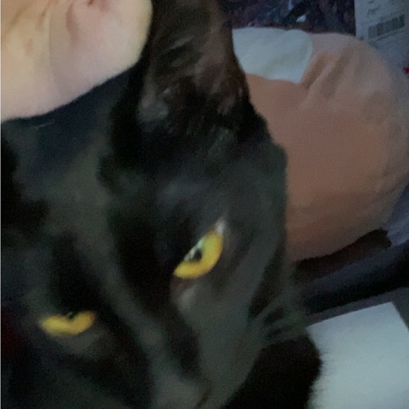 Meet your Posher, Brianna - Picture 1 of 1